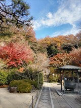 DSC_1440 DSC_1440-e1738740688334